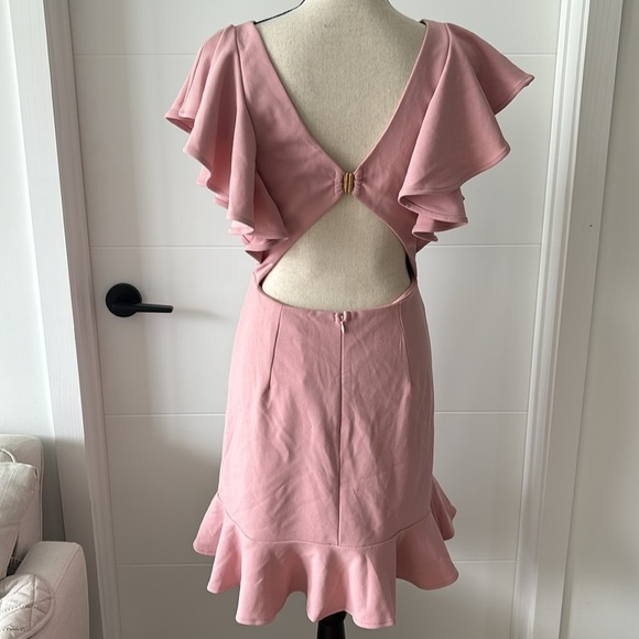 Hello Molly Blush mini dress size L NWT - Picture 4 of 14
